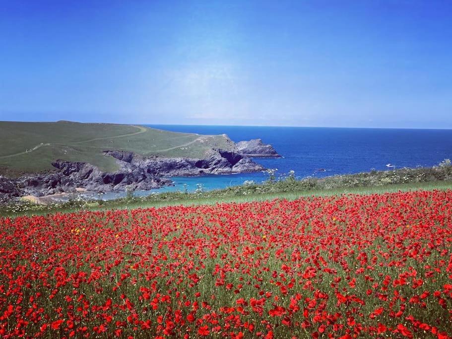 An Entire Fabulous Holiday Home - It'S All Yours! St Columb Major Екстер'єр фото